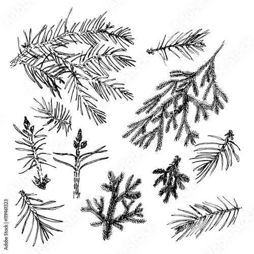 Collection with needles.