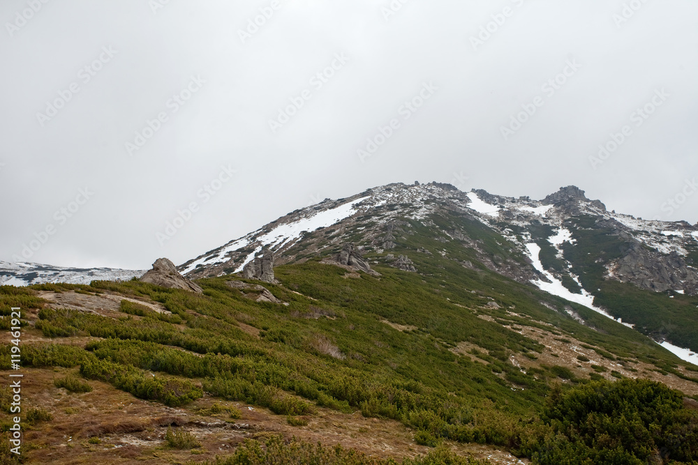 Carpatian mountains. The road to the top Carpatian mountains. The road to the top