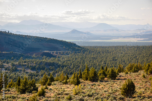 Shasta-Trinity National Forest