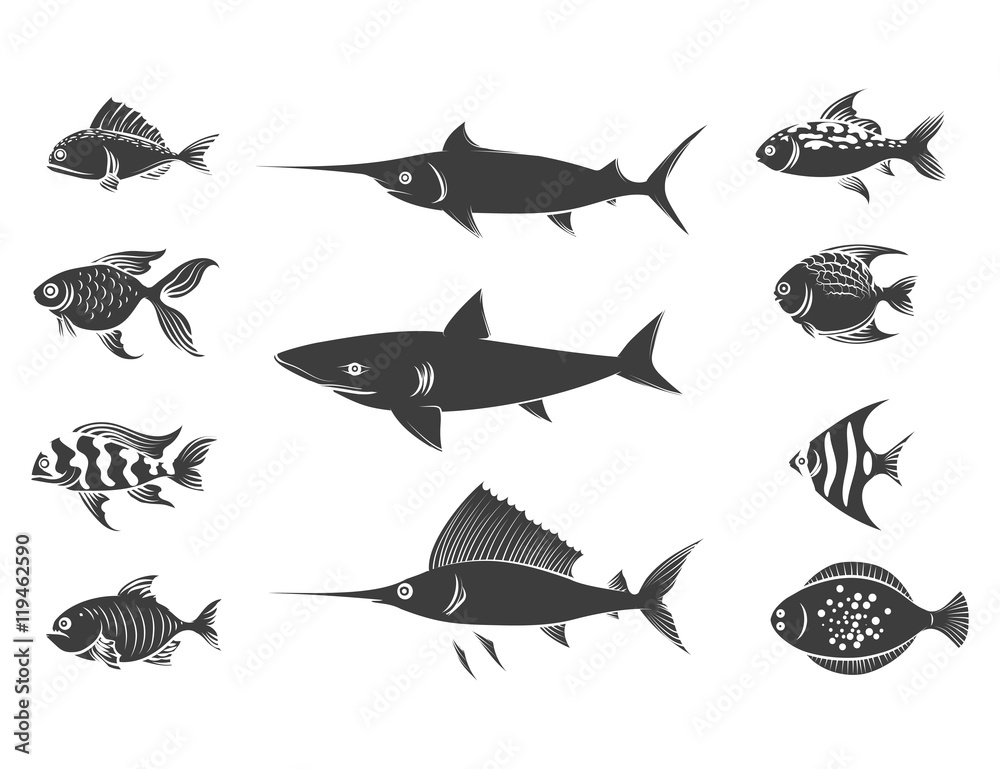 Grey fish silhouettes set isolated on white background. Vector illustration