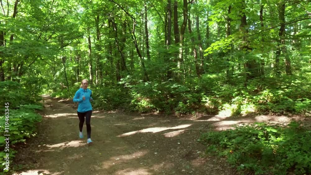 running jogging in forest. People training, running, jogging, fitness, runner-4k video running jogging in forest. People training, running, jogging, fitness, runner-4k video