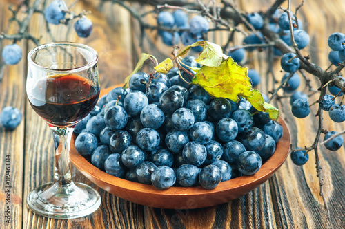 Slika na platnu Sloe gin