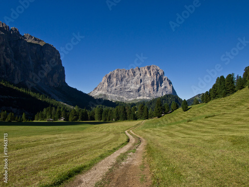 Sentiero di Montagna sulle Dolomiti Alpi © demartis