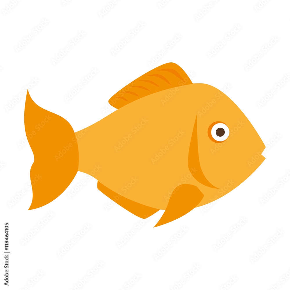 fish marine animal fish marine animal