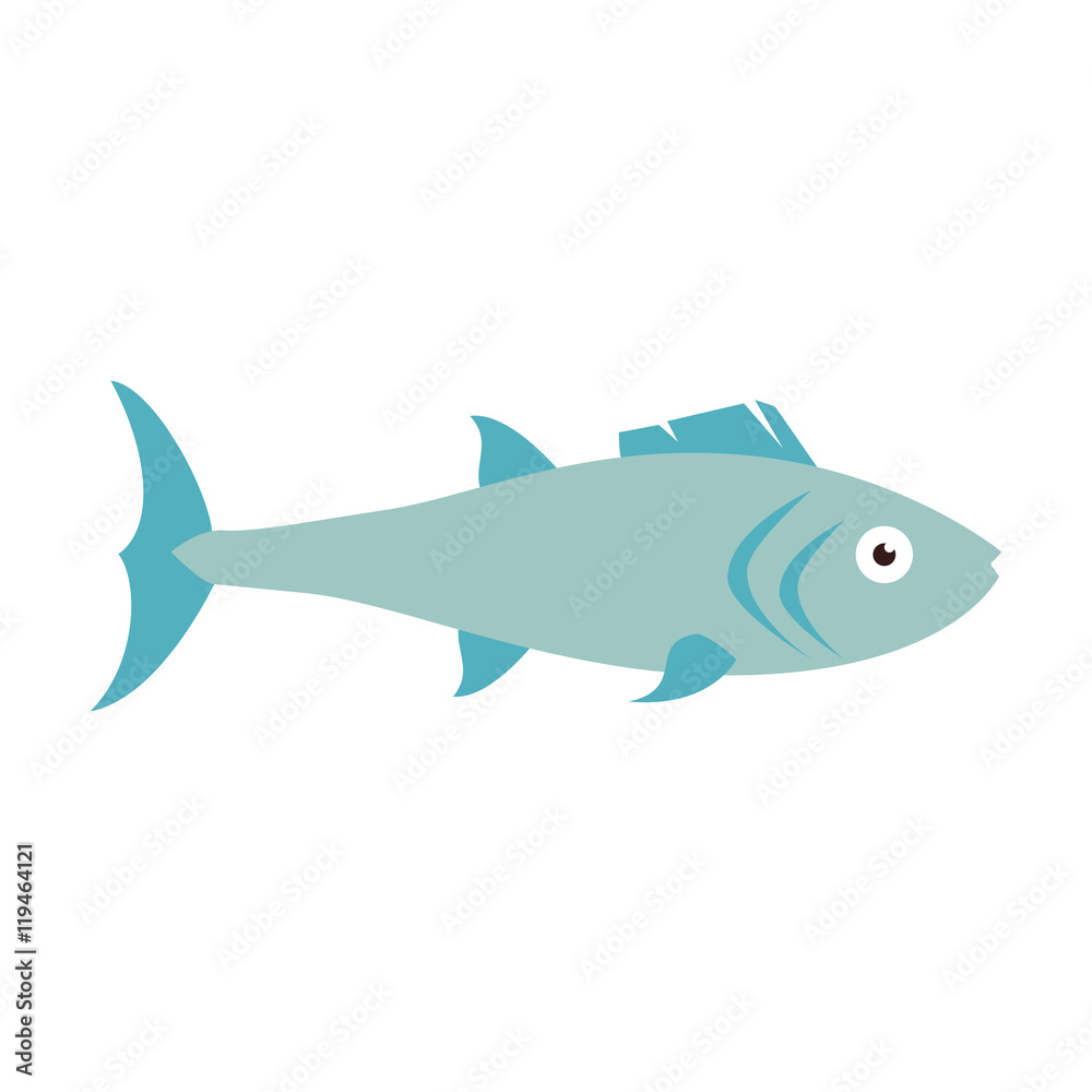 Fototapeta premium fish marine animal