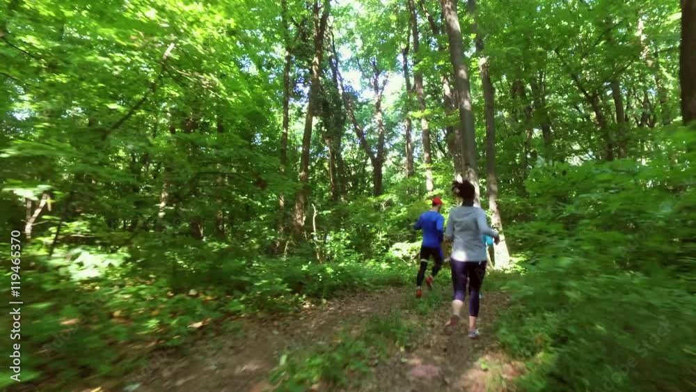 running jogging in forest. People training, running, jogging, fitness, runner-4k video running jogging in forest. People training, running, jogging, fitness, runner-4k video