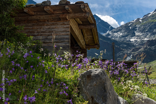 Pitztal photo