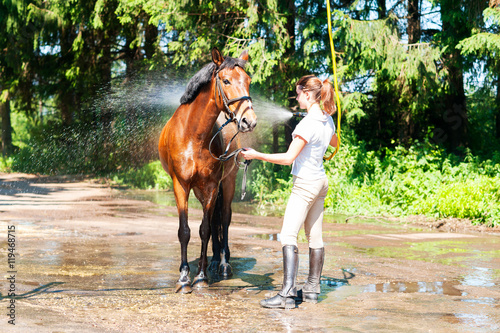 Chestnut horse enjoying of cooling down in the summer shower