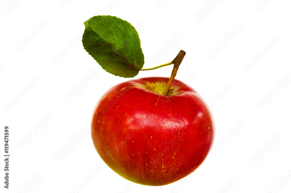 Red apple on white background
Red apple on white background
