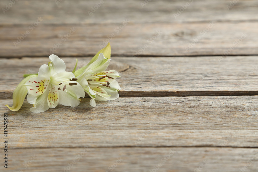 Fototapeta premium Alstroemeria flowers on a grey wooden table