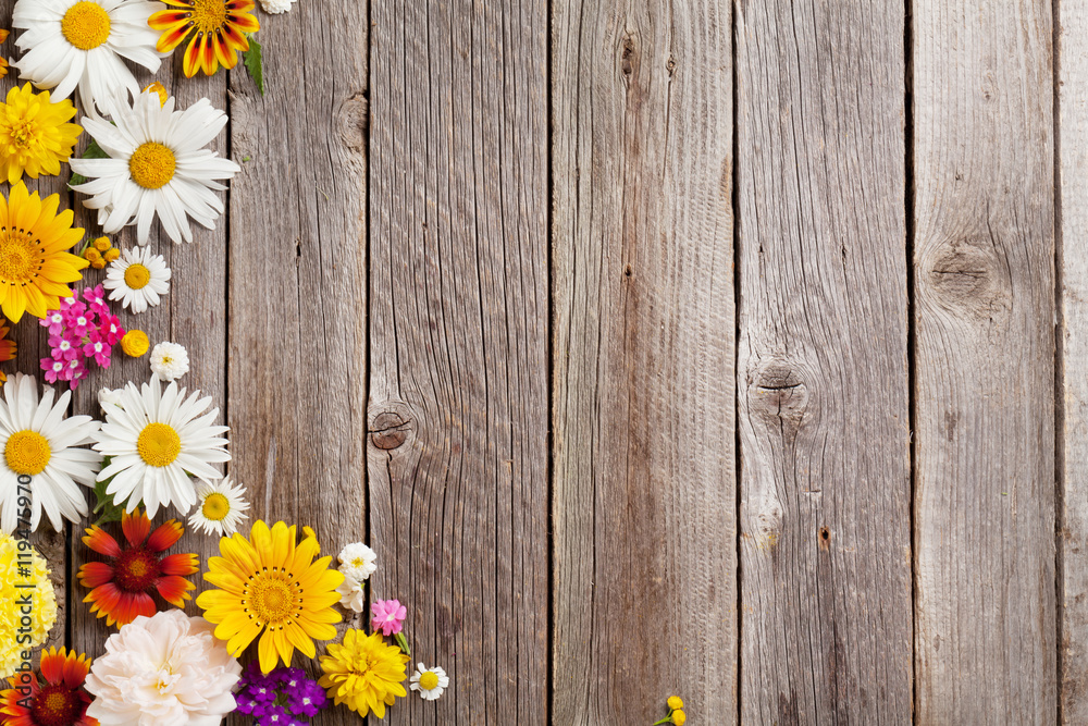 Obraz premium Garden flowers over wooden background
