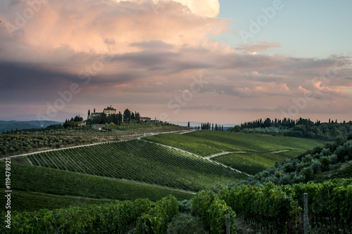 Fototapeta Naklejka Na Ścianę i Meble -  Wineyard in Italy Toscany  sunset