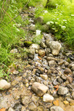 stones in the brook on the nature