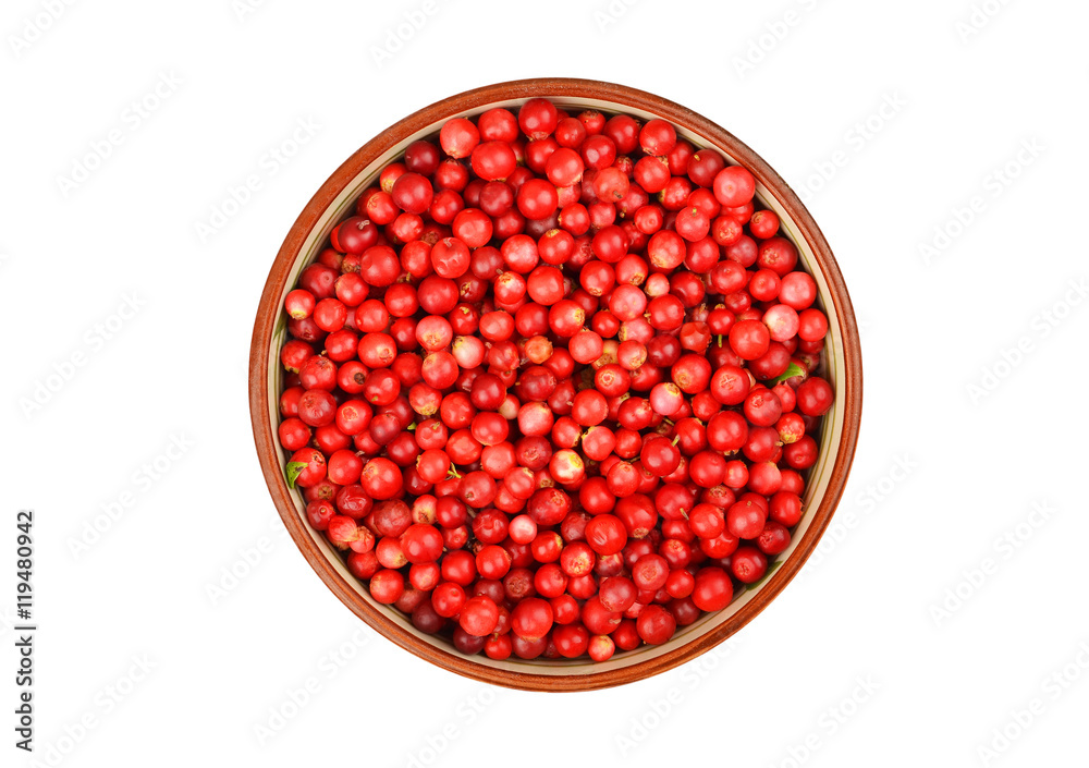 Lingonberry (Vaccinium vitis-idaea) in dish on white background Lingonberry (Vaccinium vitis-idaea) in dish on white background