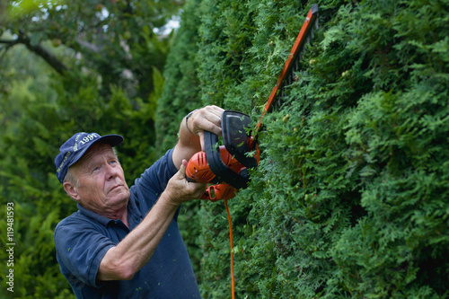 Old man trimming hedge with electric garden scissors, focus on hands 