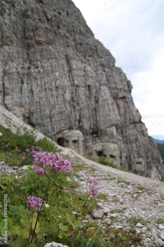 Rifugio photo