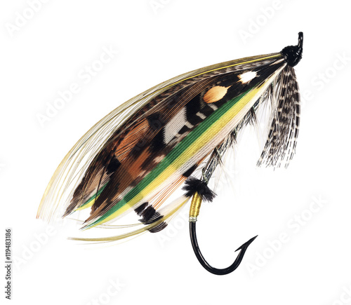 A photograph of a beautiful, colourful fly fishing hook