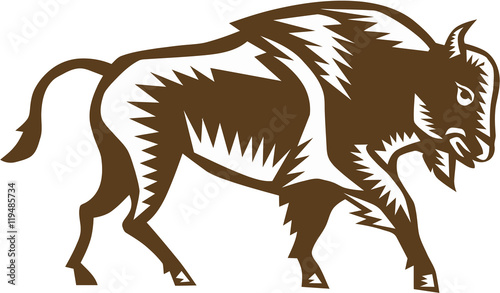 American Bison Woodcut