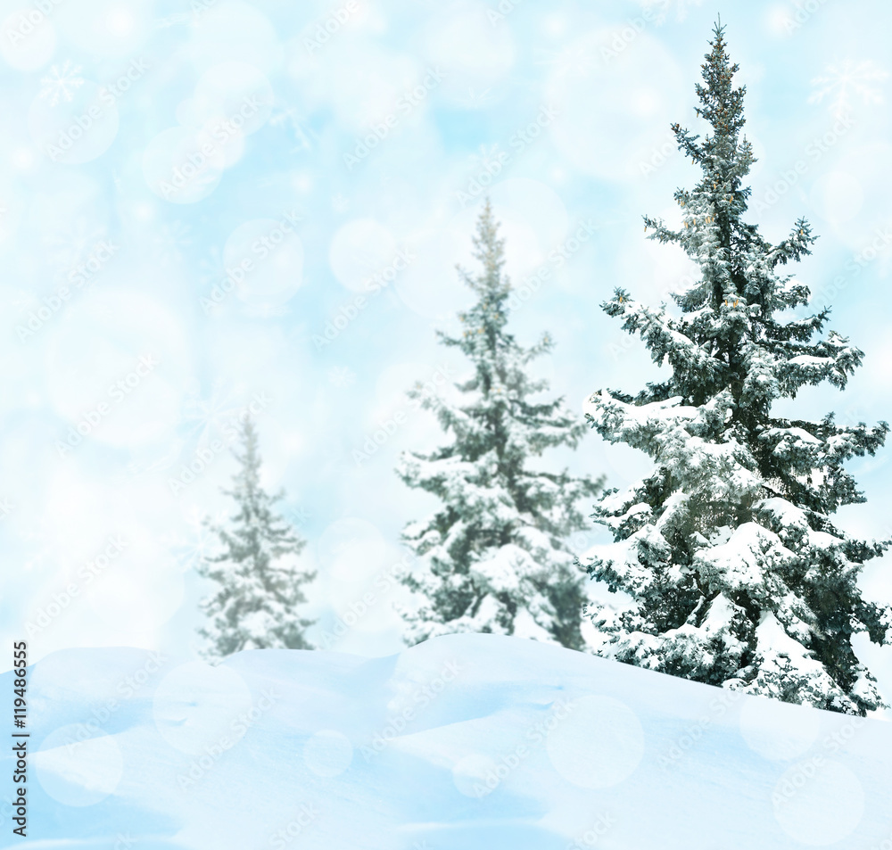Fototapeta premium Fir-trees on perfect abstract winter background with snowflakes