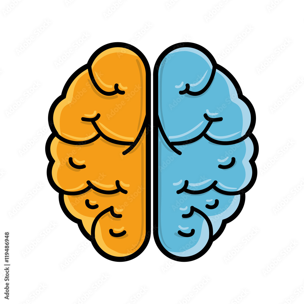 human brain organ hemispheres mind head intelligence idea vector illustration
