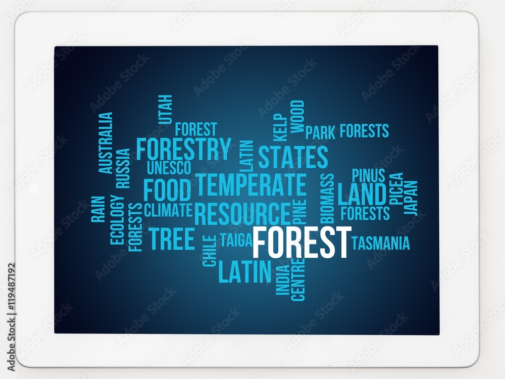Forest Forest