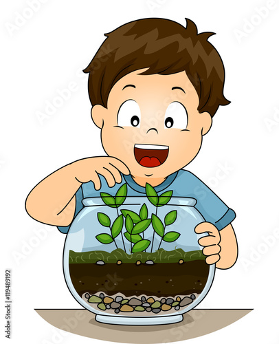 Kid Boy Botany Terrarium