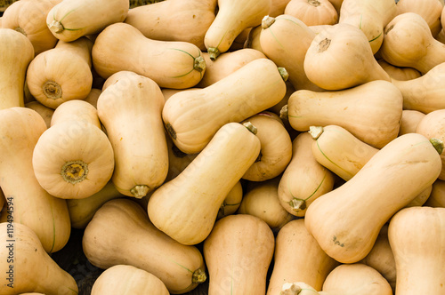 Foto Butternut squash at the market