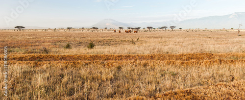 Savannah in Tsavo East National Park, Kenya