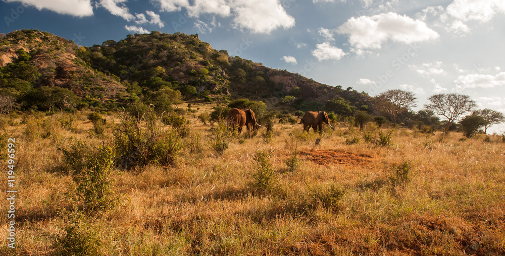 Tsavo East National Park, Kenya Tsavo East National Park, Kenya