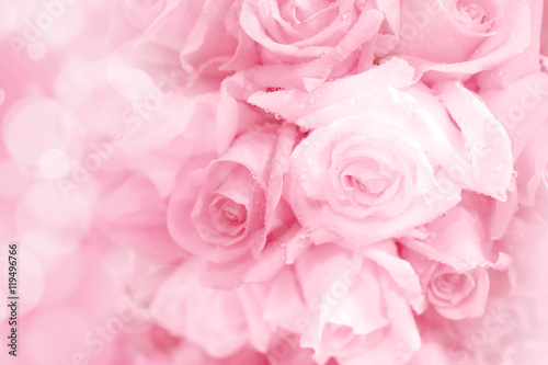 pink rose on a soft light blur background.