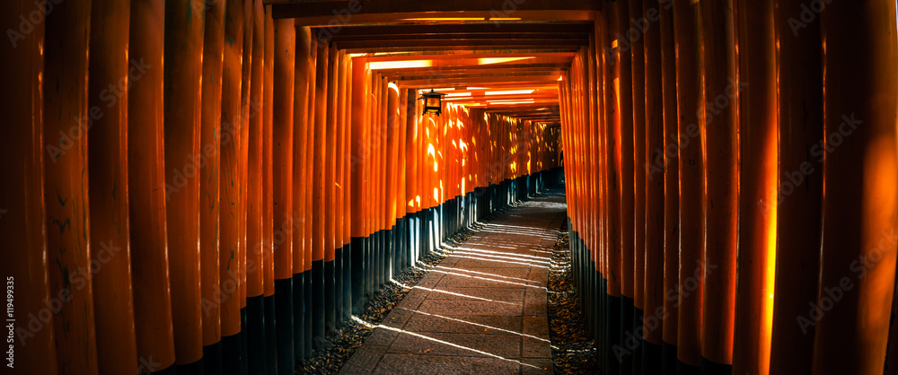 Fushimi Inari Taisha Shrine in Kyoto - obrazy, fototapety, plakaty 