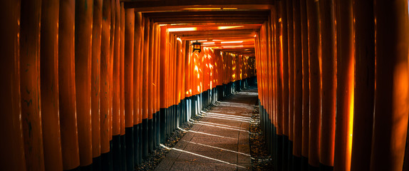 Fotobehang Japan Fushimi Inari Taisha tempel Kyoto  © Kittiphan