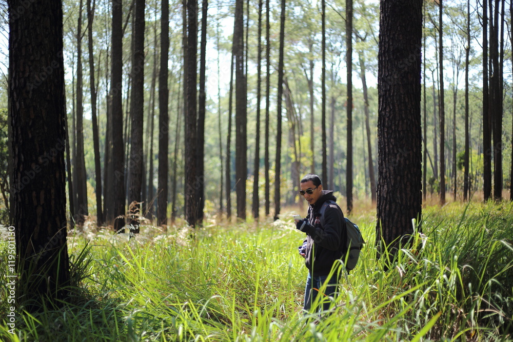 Man and Pine forest in Tung Salang Luang National Park Thailand. Man and Pine forest in Tung Salang Luang National Park Thailand.