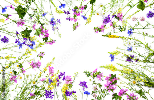 Wildflowers: Cornflower (Centaurea cyanus), Linaria vulgaris (common toadflax, butter-and-eggs), Consolida (larkspur) and Malva sylvestris on a white background with space for text. Flat lay
