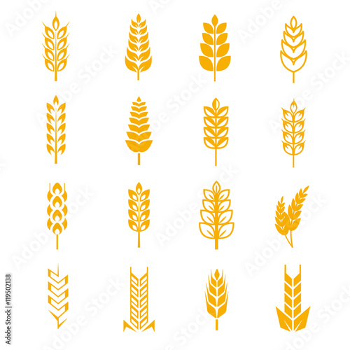 Wheat ears bread vector symbols