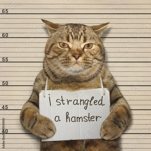 A big cat strangled a small hamster. It was arrested.