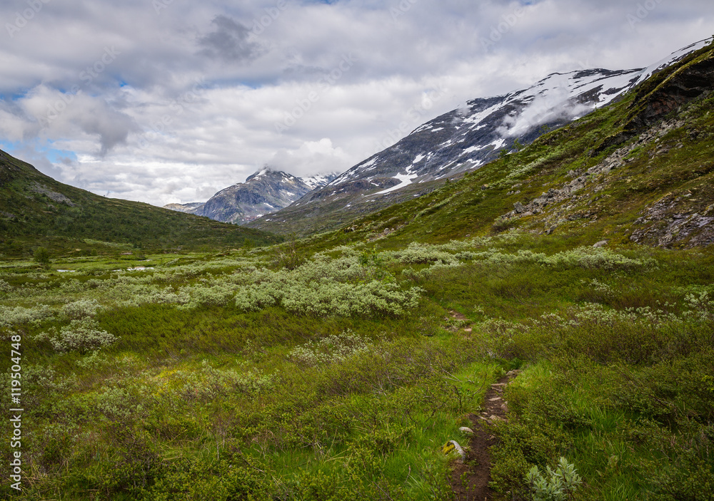 Fototapeta premium Norway landscape