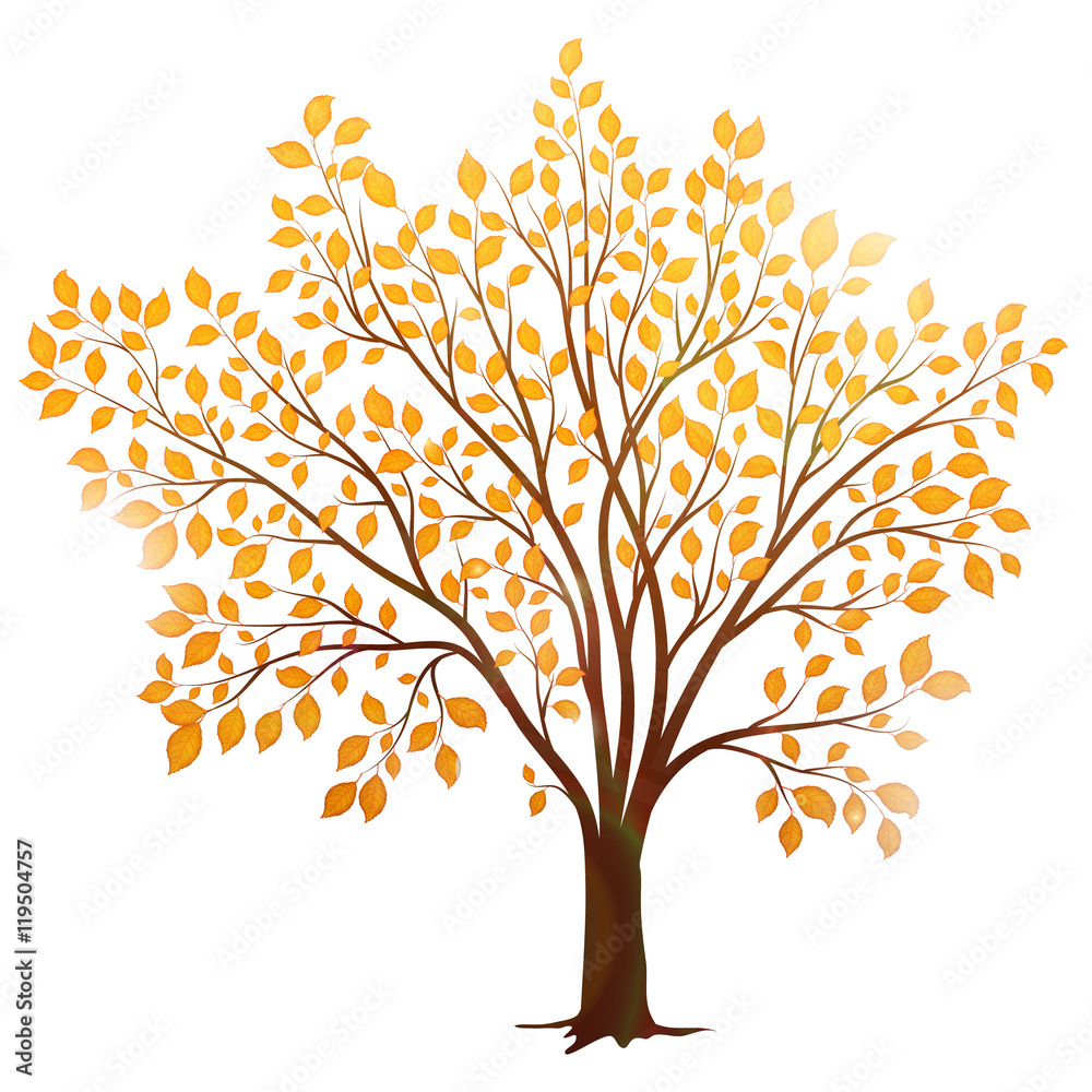 Obraz premium Vector autumn tree with leaves isolated on white background
