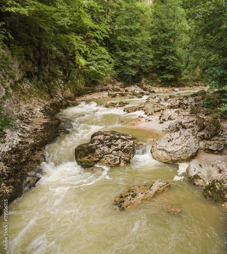 view of the mountain river rapids photo