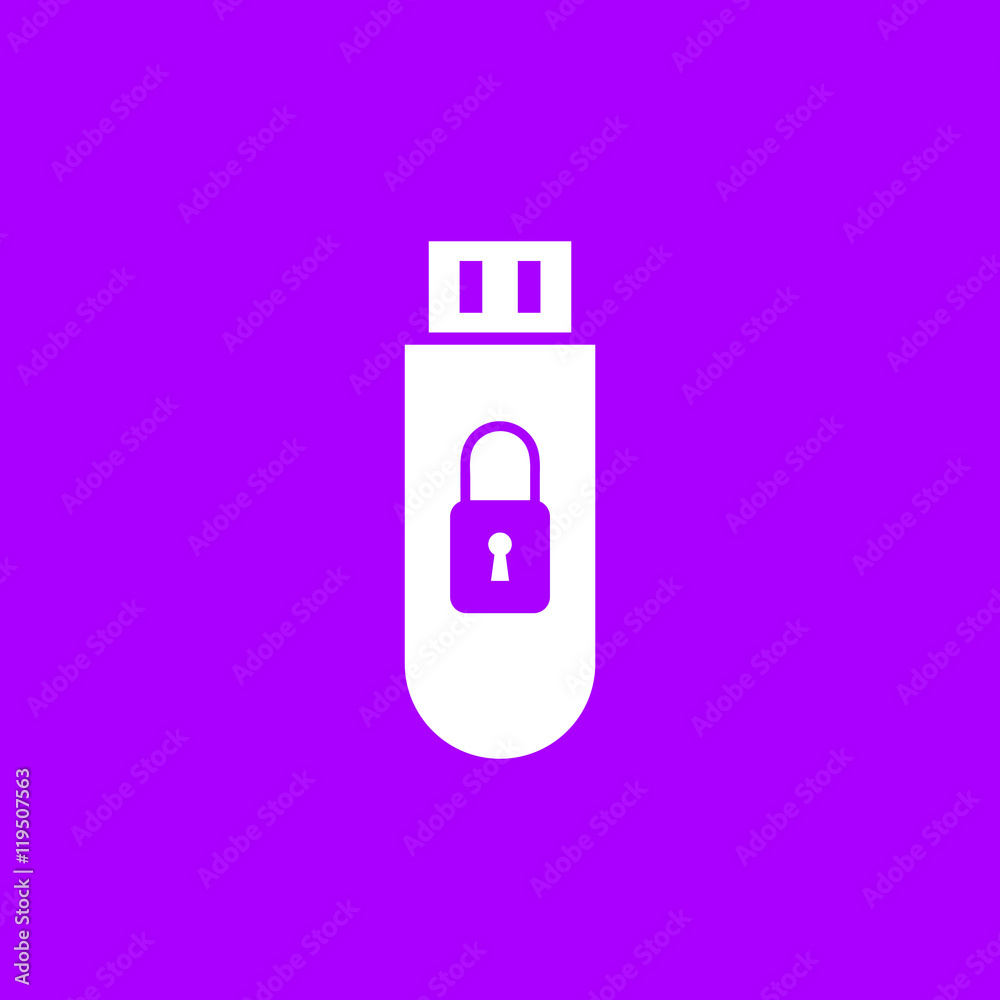 Secure USB icon Vector Illustration Image Web Material icon Secure USB icon Vector Illustration Image Web Material icon