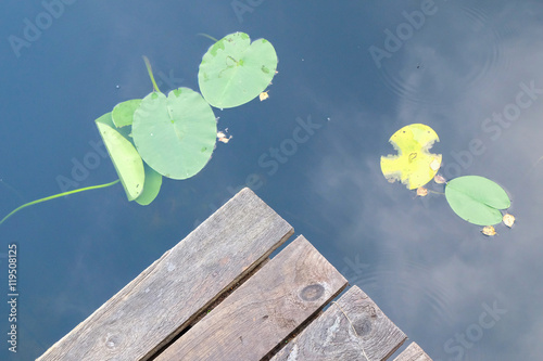 The edge of the wooden pier and the water lilies on the lake
