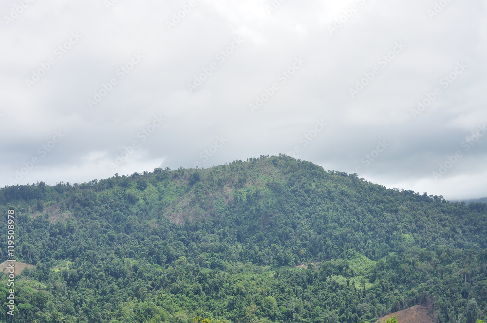 Landscape of mountain and forest, Thailand