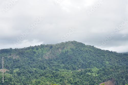 Landscape of mountain and forest  Thailand