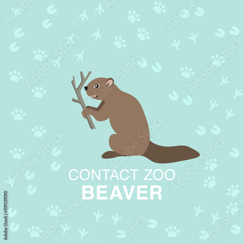 Beaver flat illustration for contact zoo concept. © juhrozian