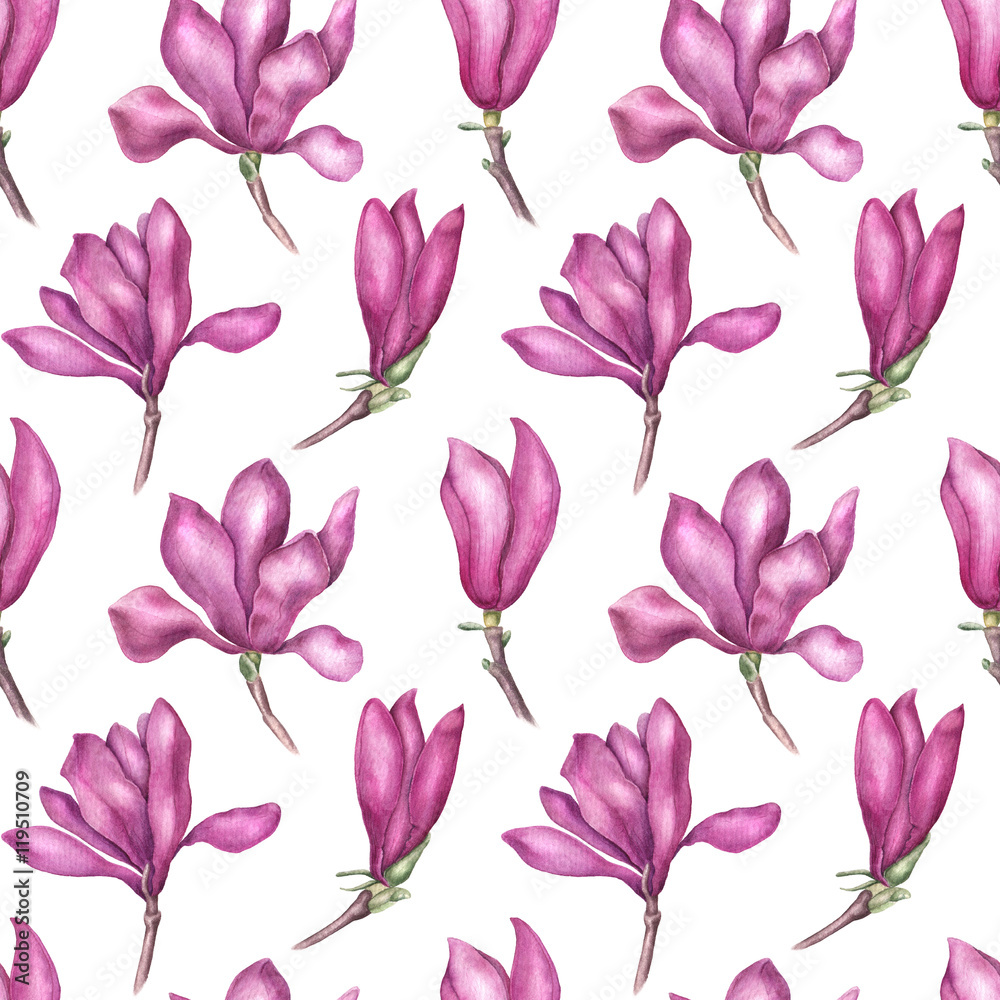 Delicate pink magnolia seamless pattern, watercolor illustration