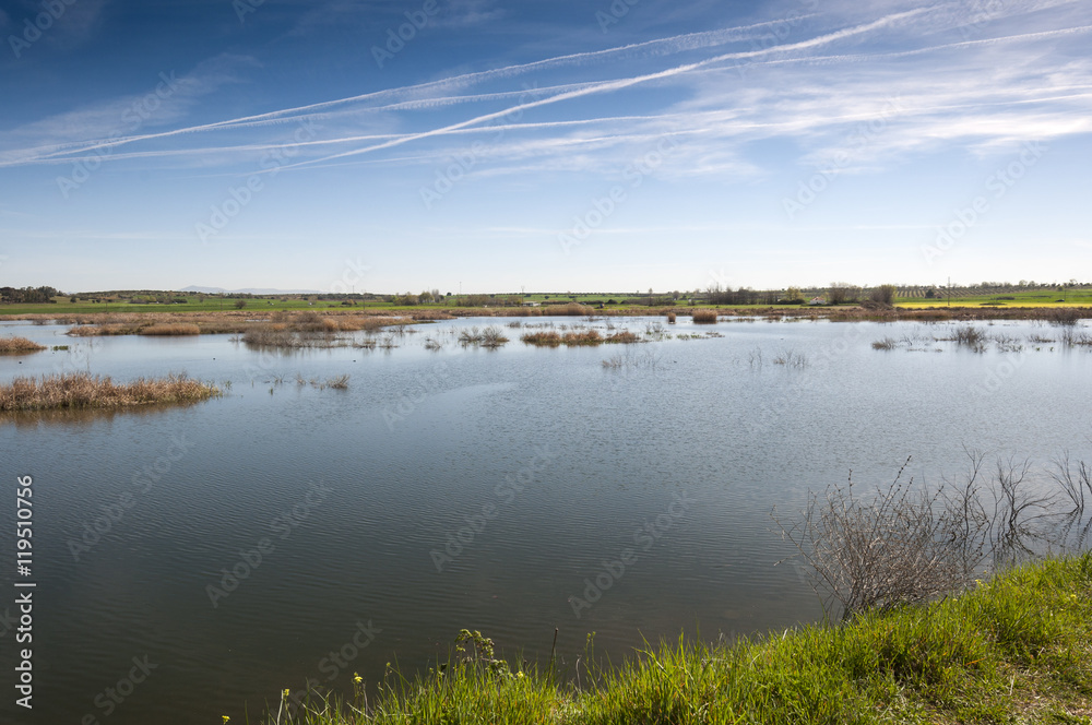 Wetlands associated with de River Guadiana, next to the Vicario Reservoir, in Ciudad Real Province, Spain