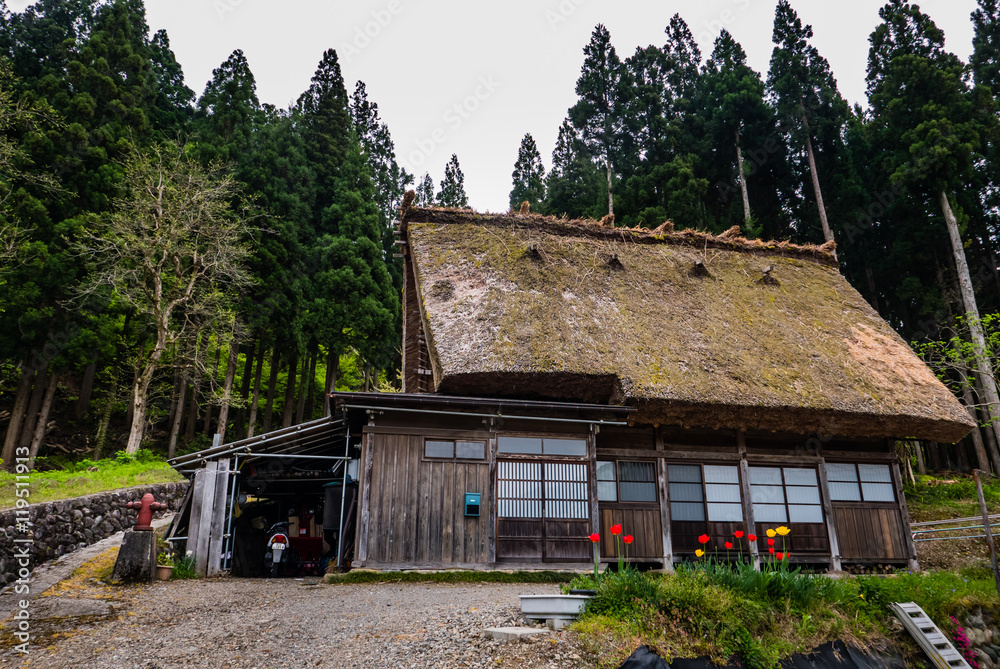 Fototapeta premium Gassho-zukuri house in Shirakawa-go