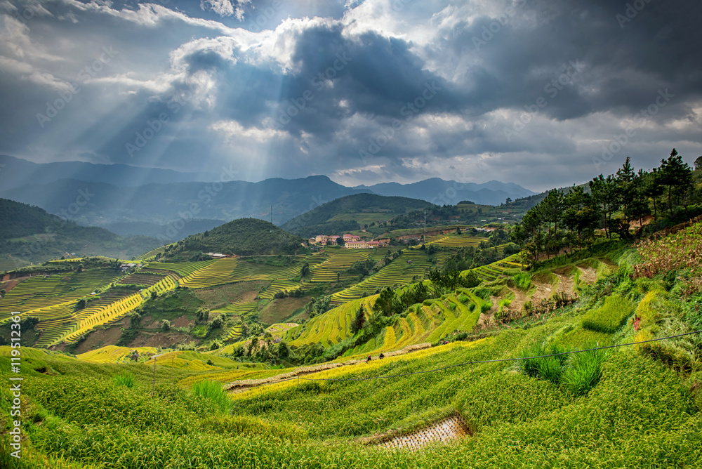 Rice fields in terraced with beautiful curves on high mountain,