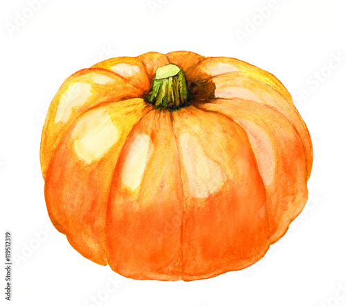 hand painted watercolor pumpkin isolated on white