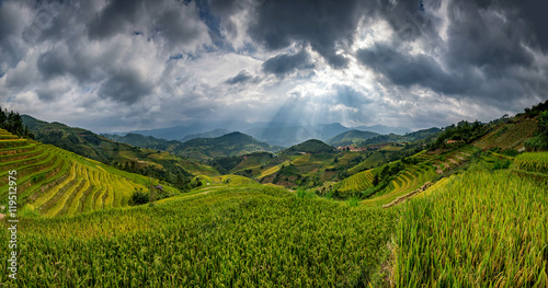 Rice fields in terraced with beautiful curves on high mountain,